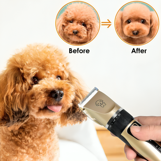 Cordless Pet Hair Trimmer & Grooming Kit